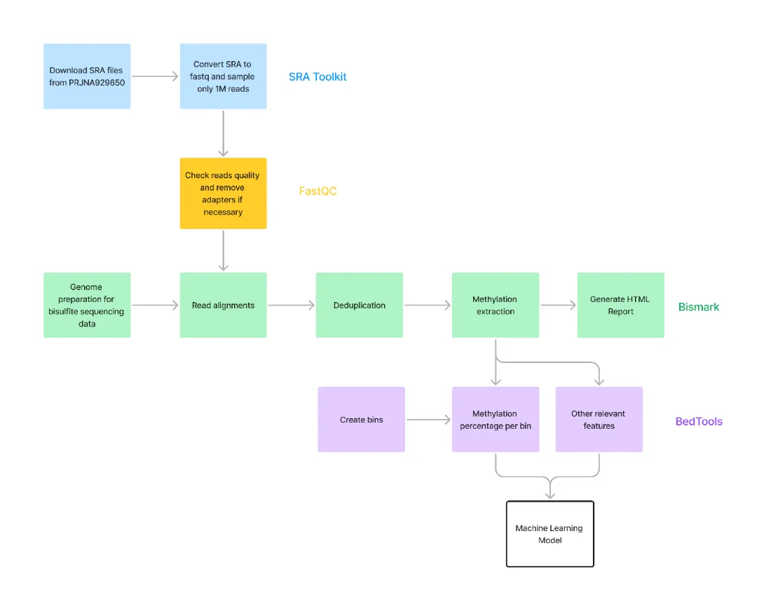 Predicting Cancer through cfDNA Methylation with Bisulfite Sequencing and Machine Learning